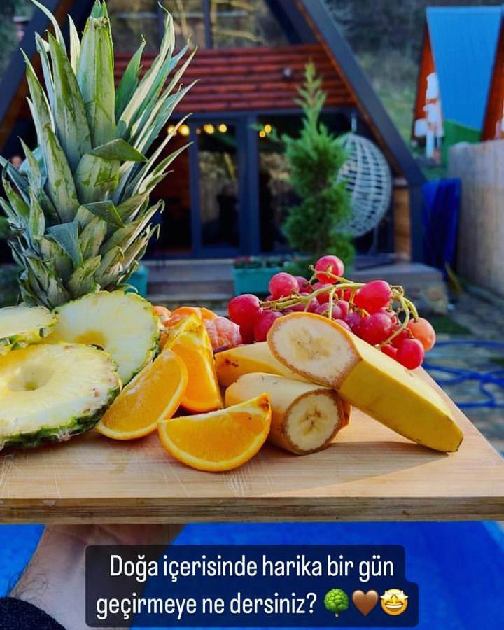 Seyyah Bungalov Sakarya  Exteriör bild